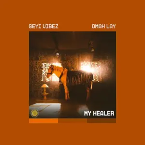 Download Seyi Vibez - MY HEALER Mp3